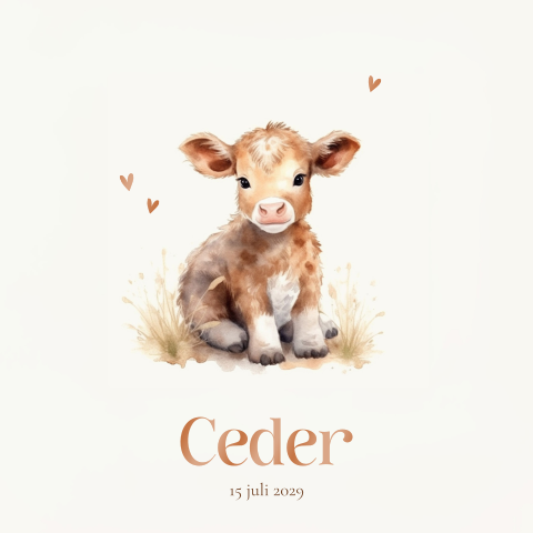 Geboortekaartje met schattige koe