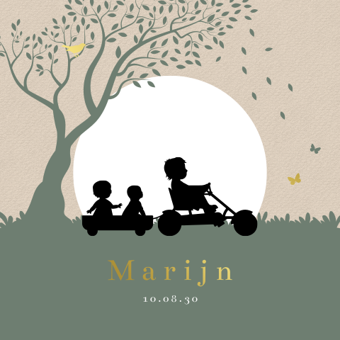 Geboortekaartje derde kindje met silhouet broertjes op skelter