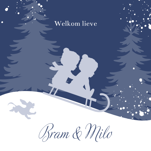 Winter babykaartje tweeling jongens op slee