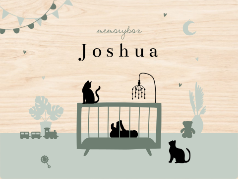 Memorybox baby jongen in wieg met twee katten