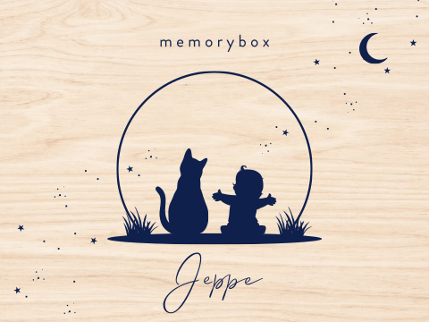 Memorybox silhouet jongen en kat bij zonsondergang