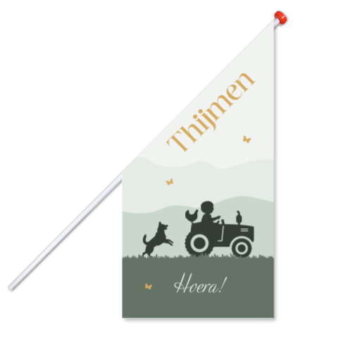 Groene vlag tractor met jongen en hond