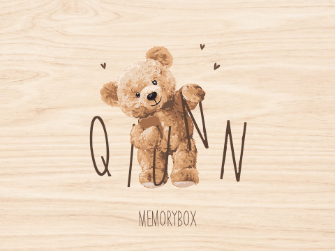 Geboortebox bruine teddybeer met naamletters
