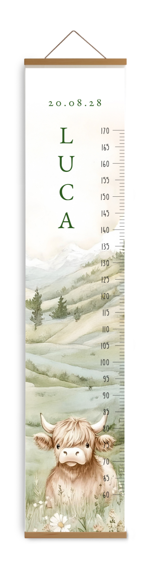 Groeimeter met Schotse hooglander