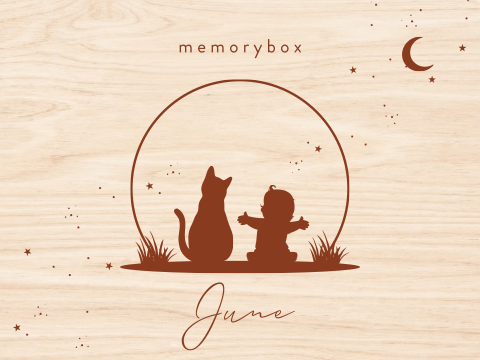 Geboortebox sihouet meisje en kat bij zonsondergang