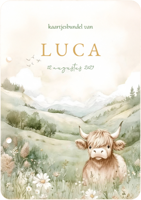Kaartjesbundel met Schotse hooglander