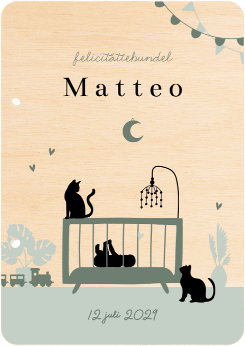 Bewaarbundel kaartjes baby jongen in wieg met katten
