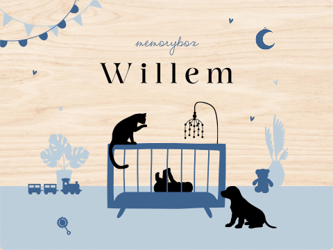 Memorybox baby jongen in wieg met kat en hond