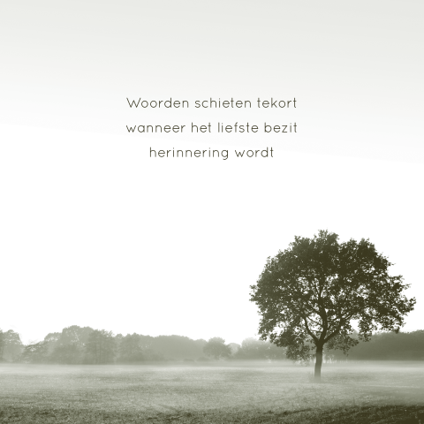 Wenskaart condoleance boom