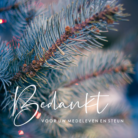 Dankbetuiging sturen rondom kerst en nieuwjaar
