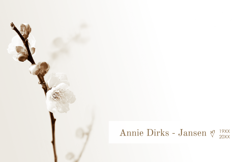 Rouwkaarten maken en bestellen bloesemtak ingetogen