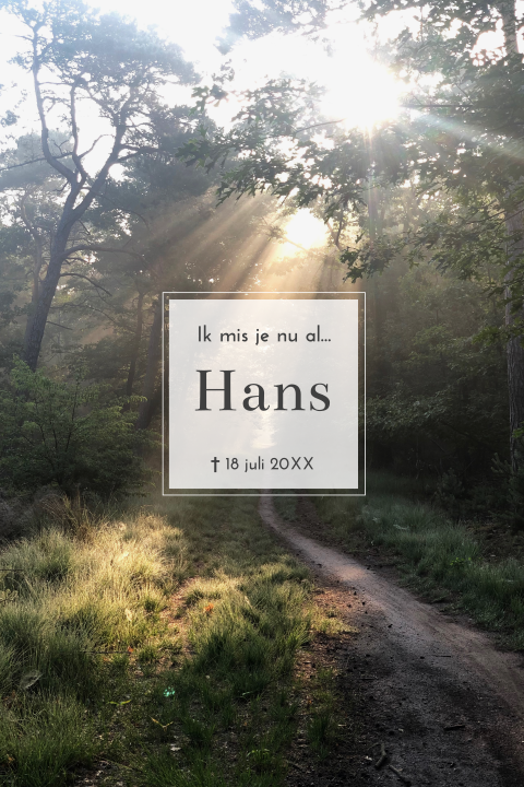 Rouwkaart bos met zonnestralen