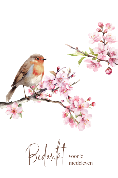 Bedankkaart na afscheid met bloemen bloesem en roodborstje 