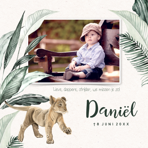 Baby rouwkaartje peuter met leeuwtje in jungle stijl
