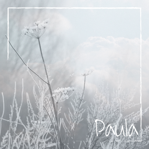 Rouwkaart verstild winterlandschap - stijlvol en sereen