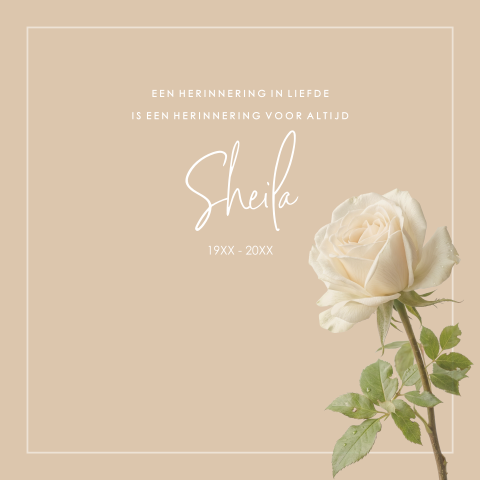 Rouwkaart maken met roos in wit - zacht en liefdevol