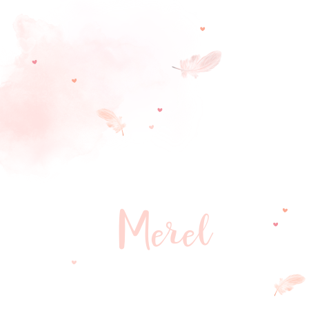 Rouwkaartje veertjes