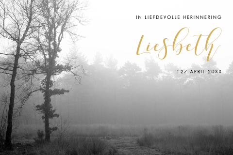 Rouwkaart maken online – Mistig bos & 'In liefdevolle herinnering'