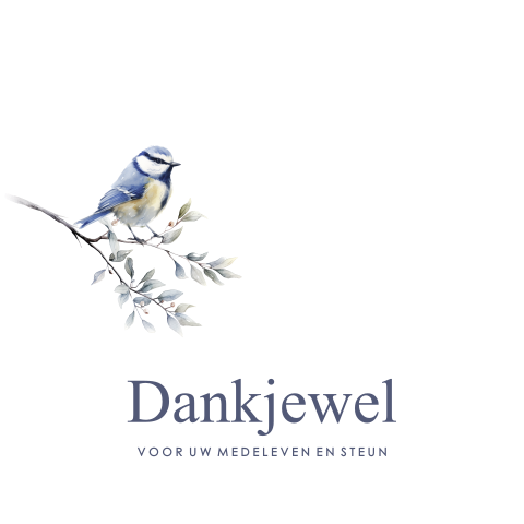 Bedankkaartjes botanisch met vogel en veertjes