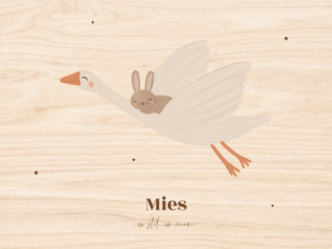 Herinneringskist met maan en sterren | Memorybox  overleden baby