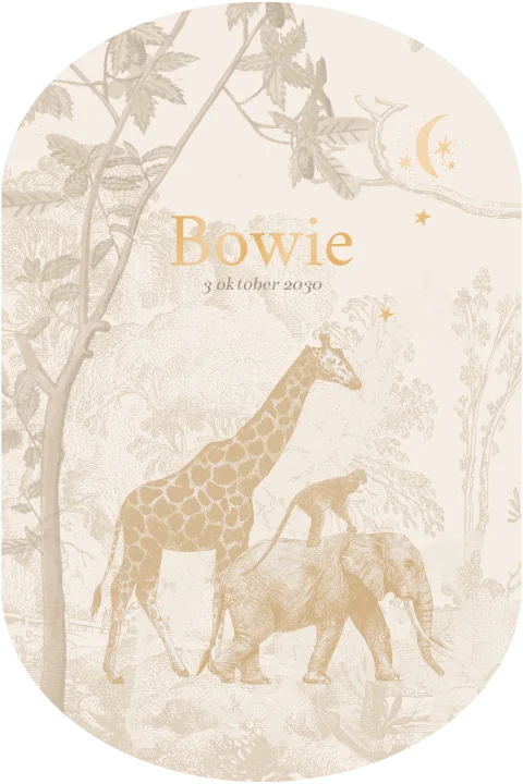 Pilvorm geboortekaartje met jungle dieren