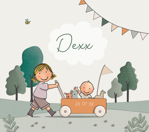geboortekaartje zusje met baby jongen oranje kar