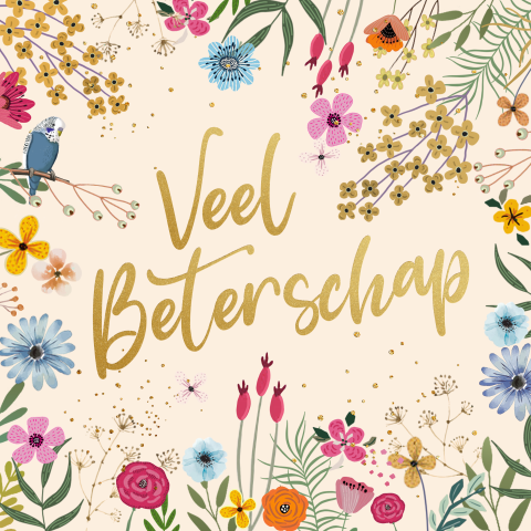 Beterschapkaart bloemen net vogel