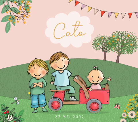 geboortekaartje broertjes met baby meisje houtenbakfiets