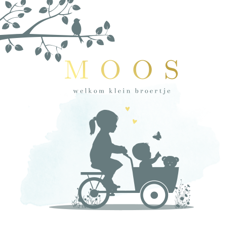 geboortekaartje jongen bakfiets zus  knuffel beer