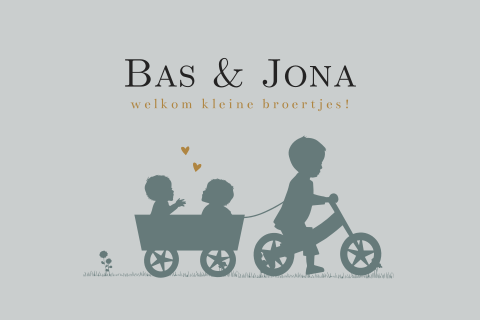 Geboortekaartjes tweeling jongens loopfiets broertje
