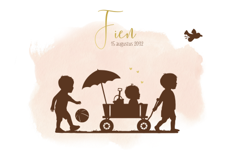 Geboortekaartje silhouet meisje strandkar met broertjes