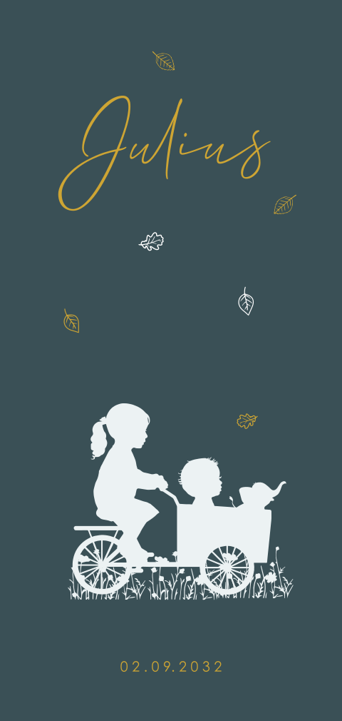 geboortekaartjes zusje met baby jongen silhouet bakfiets meisje zusje