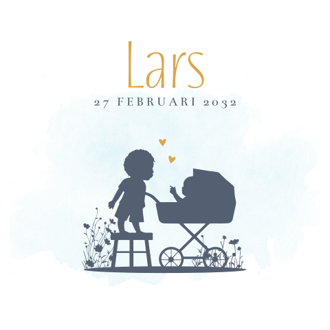 geboortekaartjes jongen kinderwagen baby jongen broertje kruk