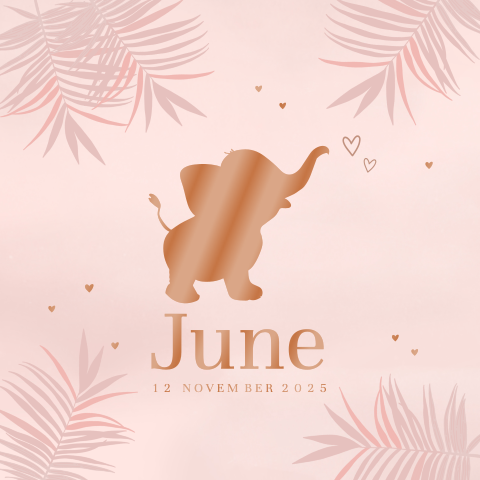 koper blad olifant roze meisje