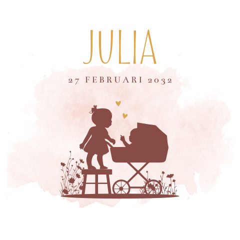 geboortekaartjes meisje kinderwagen baby jongen zusje kruk
