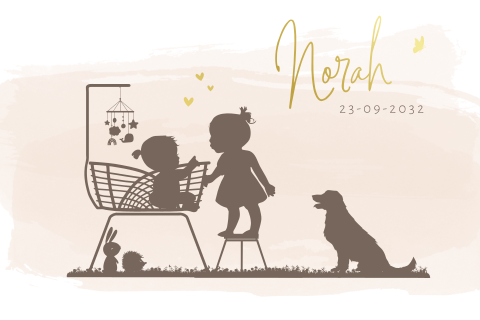 Geboortekaartje silhouet meisje rotan wieg met zusje