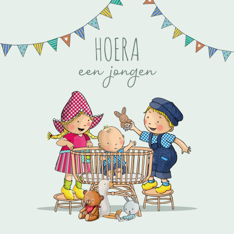 Felicitatiekaart Fien en Teun met baby jongen