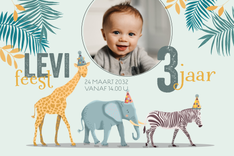 Uitnodiging kleurrijk giraf olifant zebra