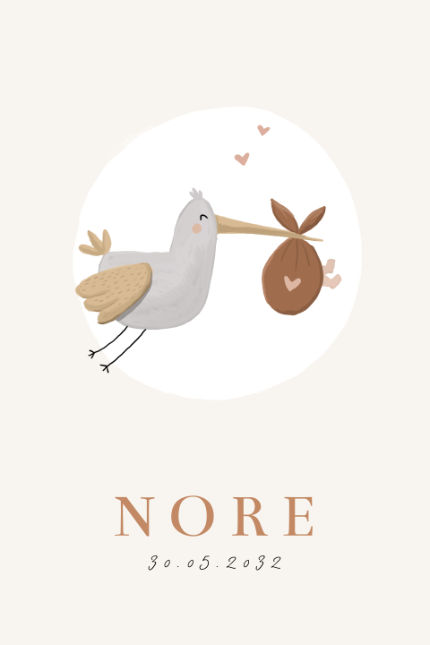 Geboortekaartje meisje ooievaar bruin grijs