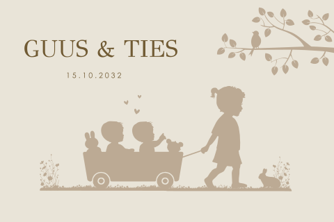 Geboortekaartje silhouet tweeling jongens kar met knuffels