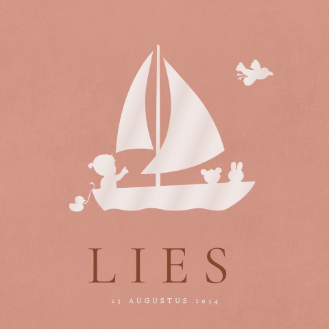 Geboortekaartje meisje bootje met baby