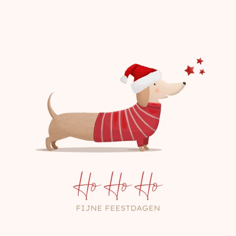 Kerstkaart teckel rode muts