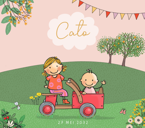 geboortekaartje zusje met baby meisje houten bakfiets