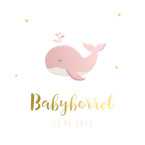 Kraamborrel walvis roze
