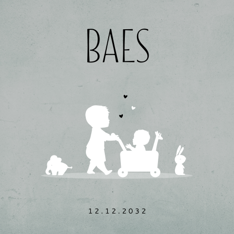 geboortekaartjes silhouette broer loopkar baby broer knuffels