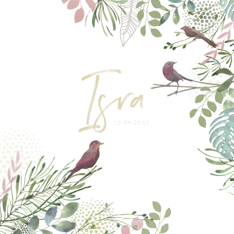 geboortekaartje meisje vogels met takjes