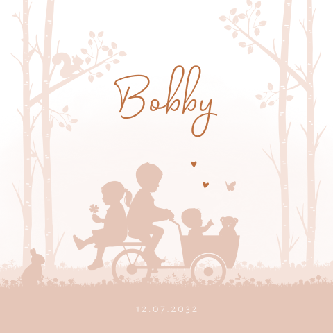 geboortekaartjes meisje bakfiets zus broer landschap