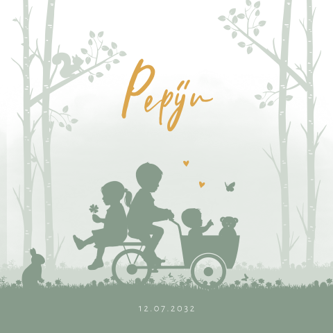 geboortekaartjes jongen bakfiets zus broer landschap