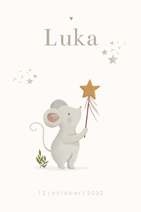 Geboortekaartje muisje met toverstaf en sterren