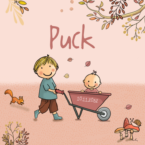Geboortekaartje meisje broertje herfst kruiwagen
